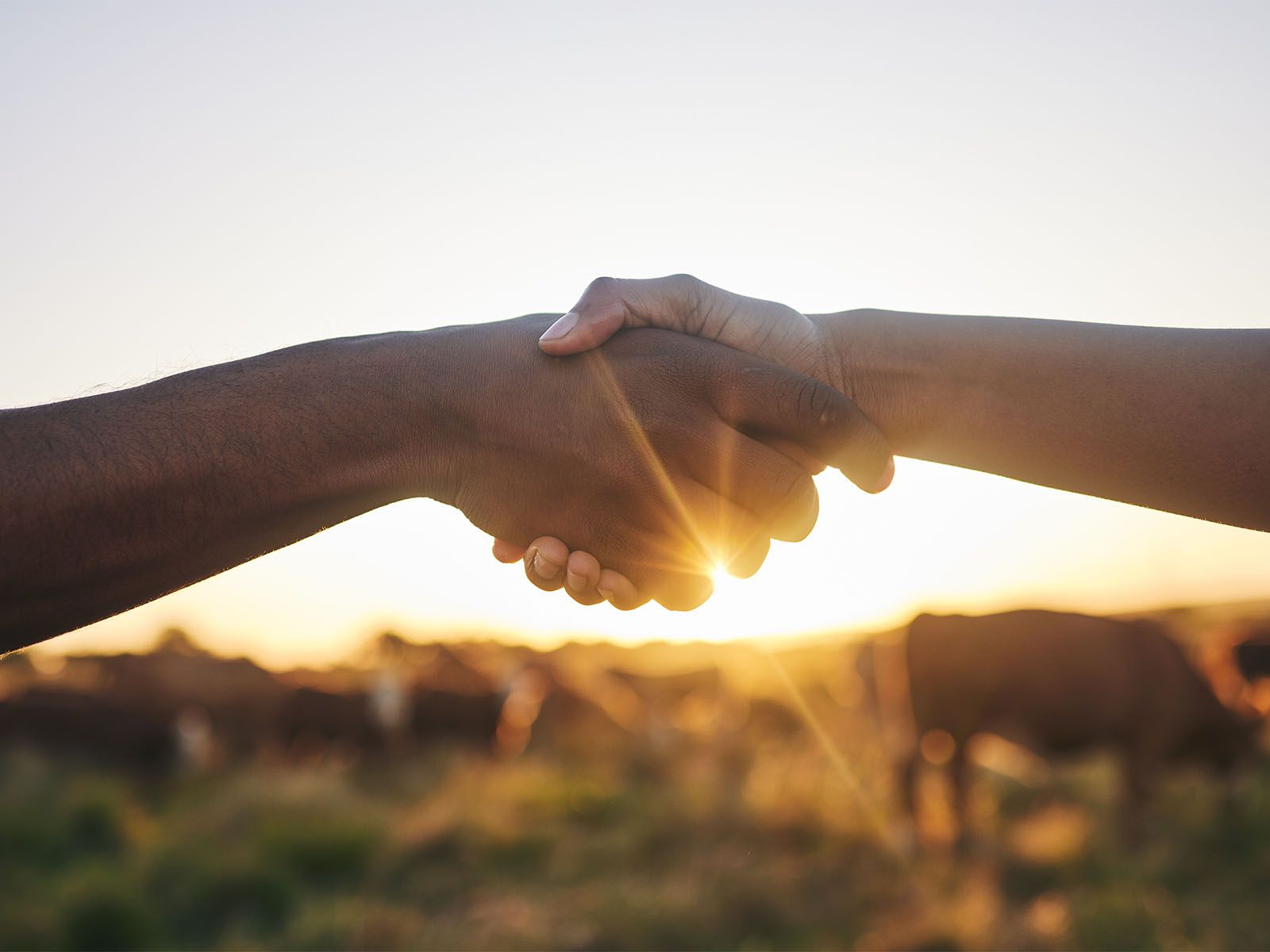 Harvex farm supply farmers shaking hands