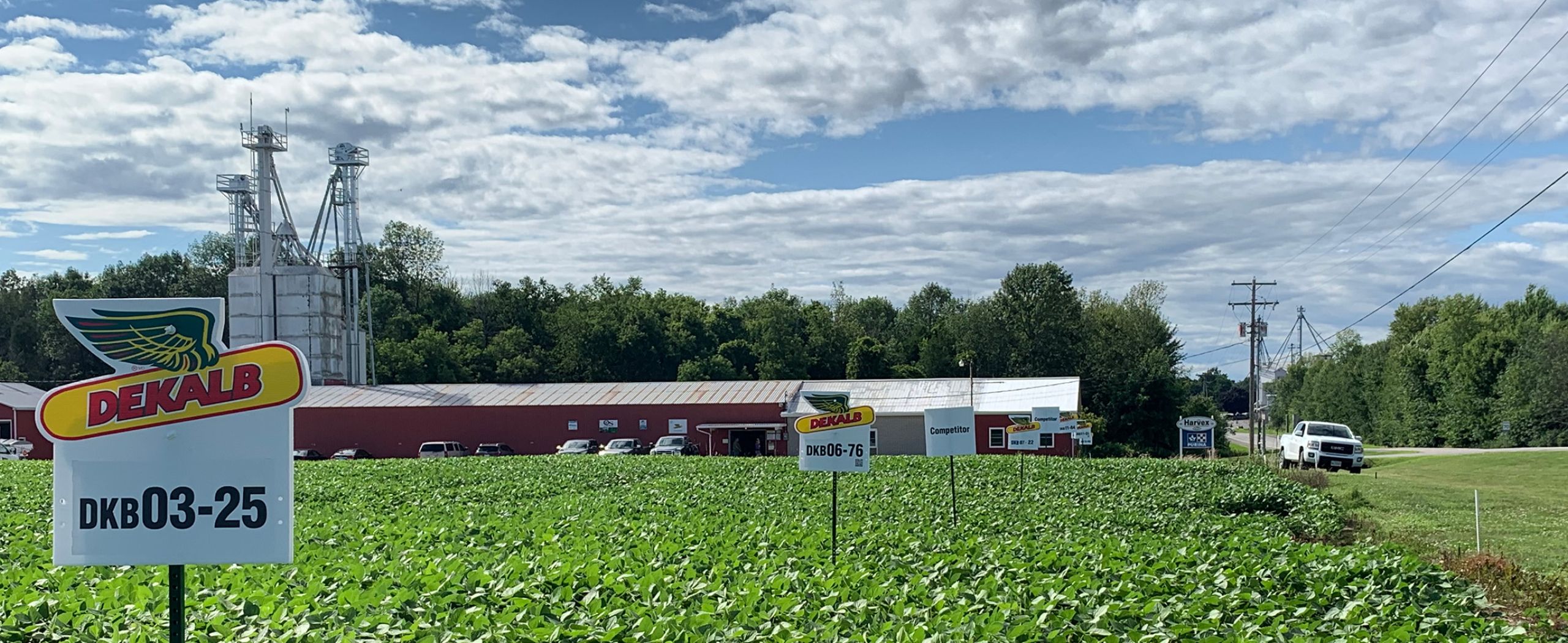 Harvex Agromart crop and location with Dekalb sign