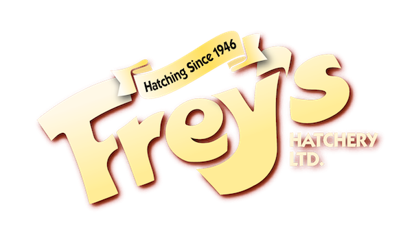 Frey's logo
