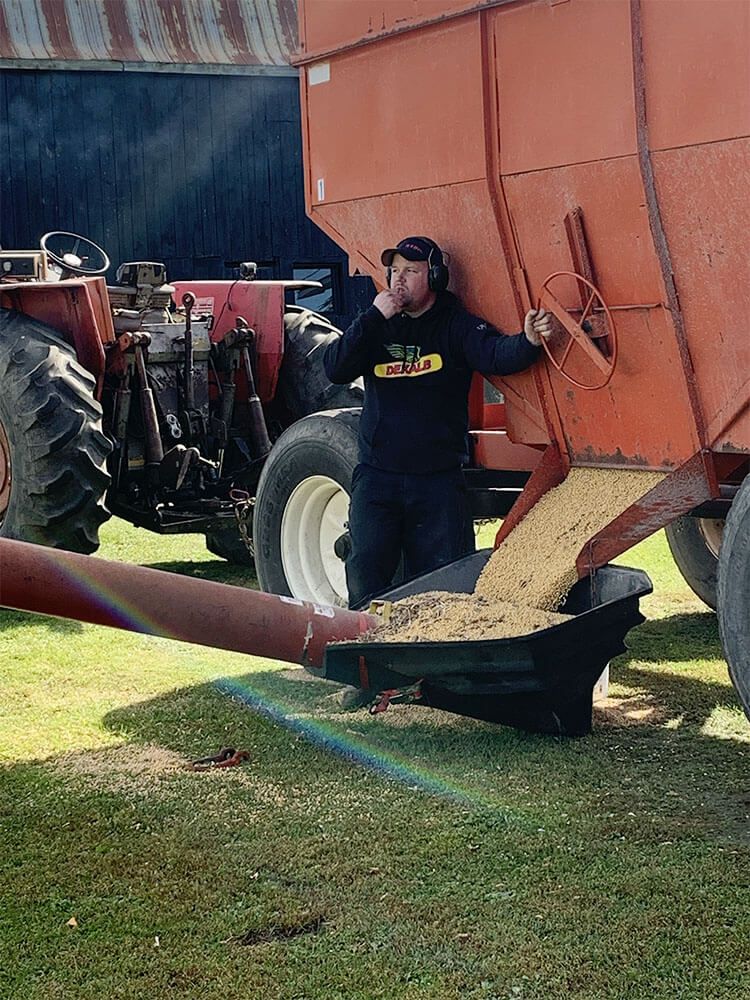 Harvex employee harvesting grain