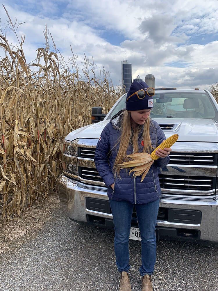 Harvex employee in the field with corn by truck