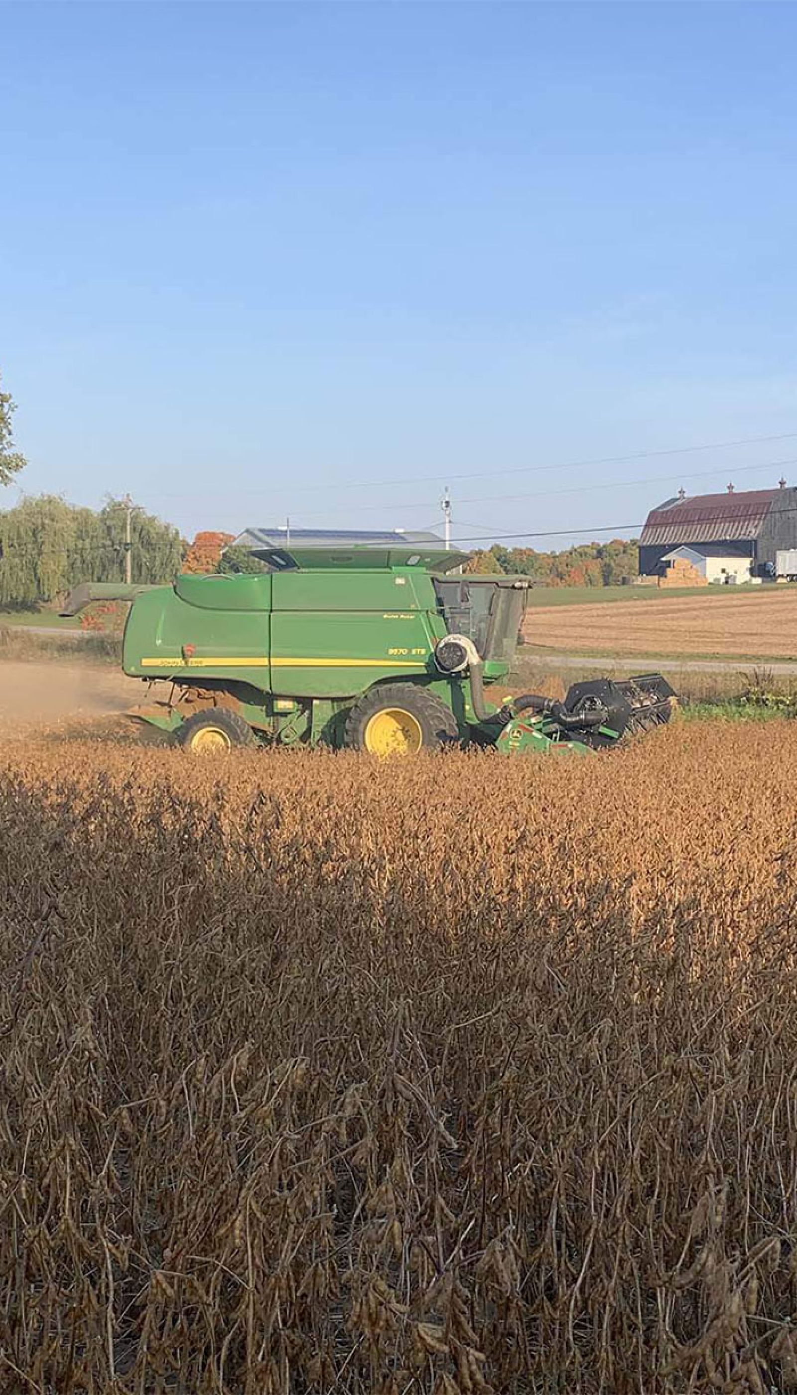 Harvex harvesting grain in the field