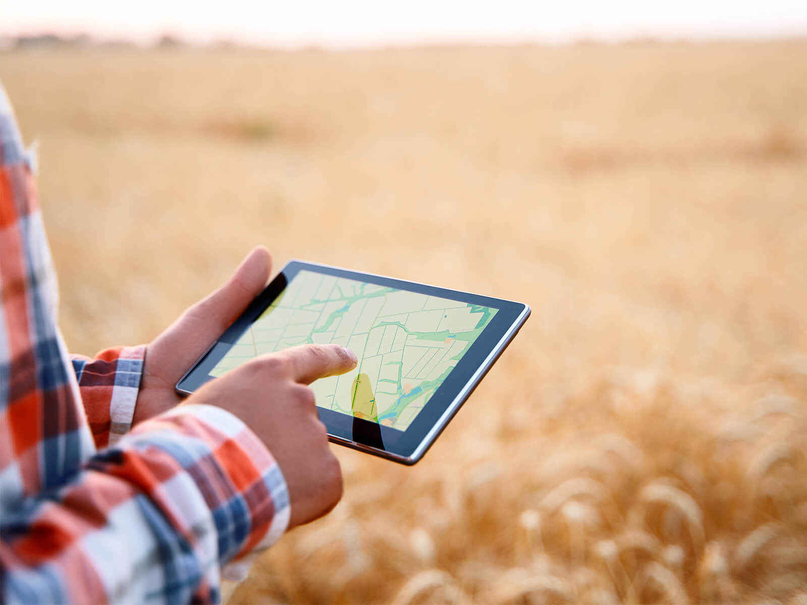 Harvex agronomy mapping with tablet and corn field