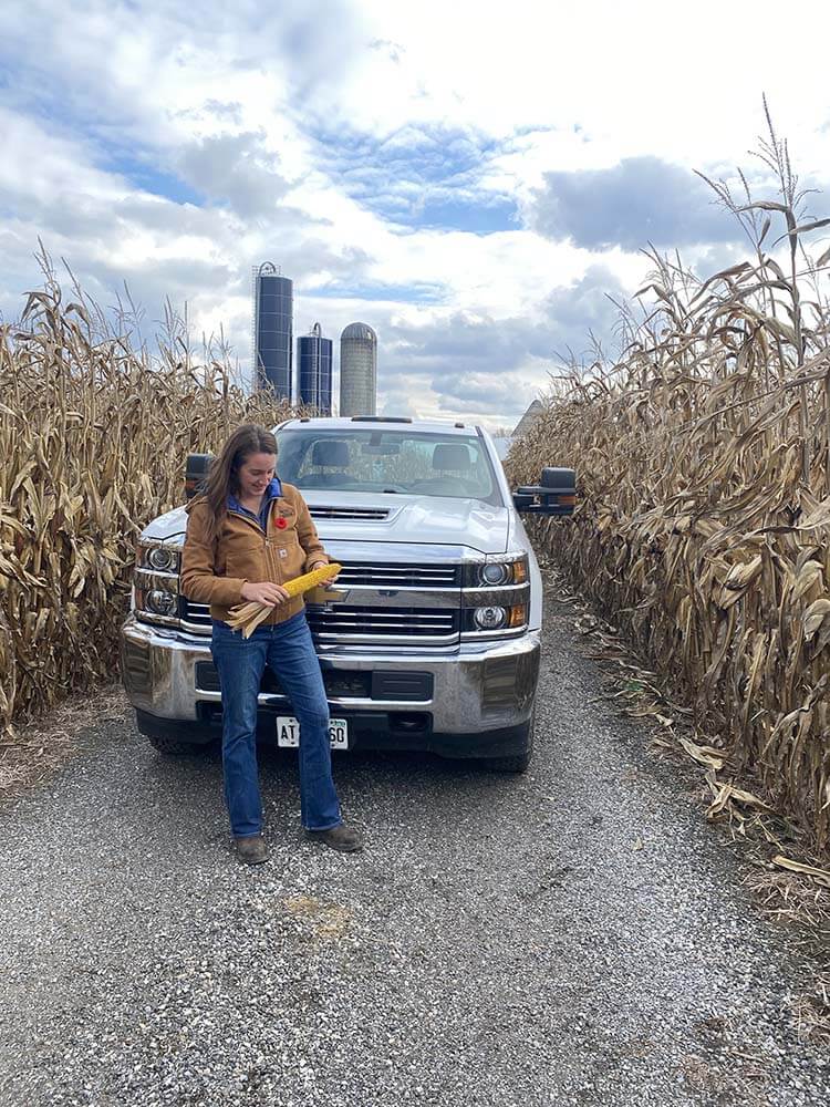 Harvex agronomist in the field