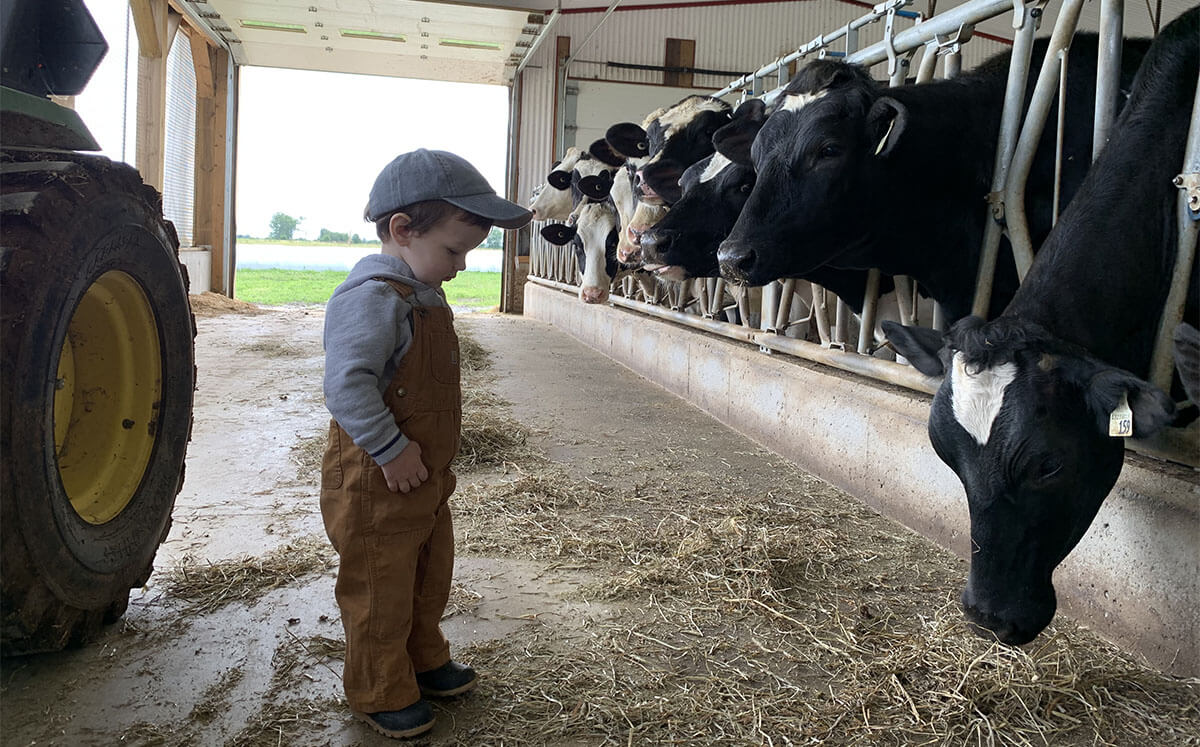 Harvex custom feed products