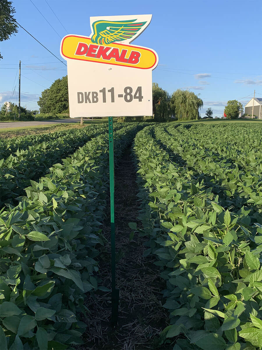 Summit Seeds soybean crop Dekalb