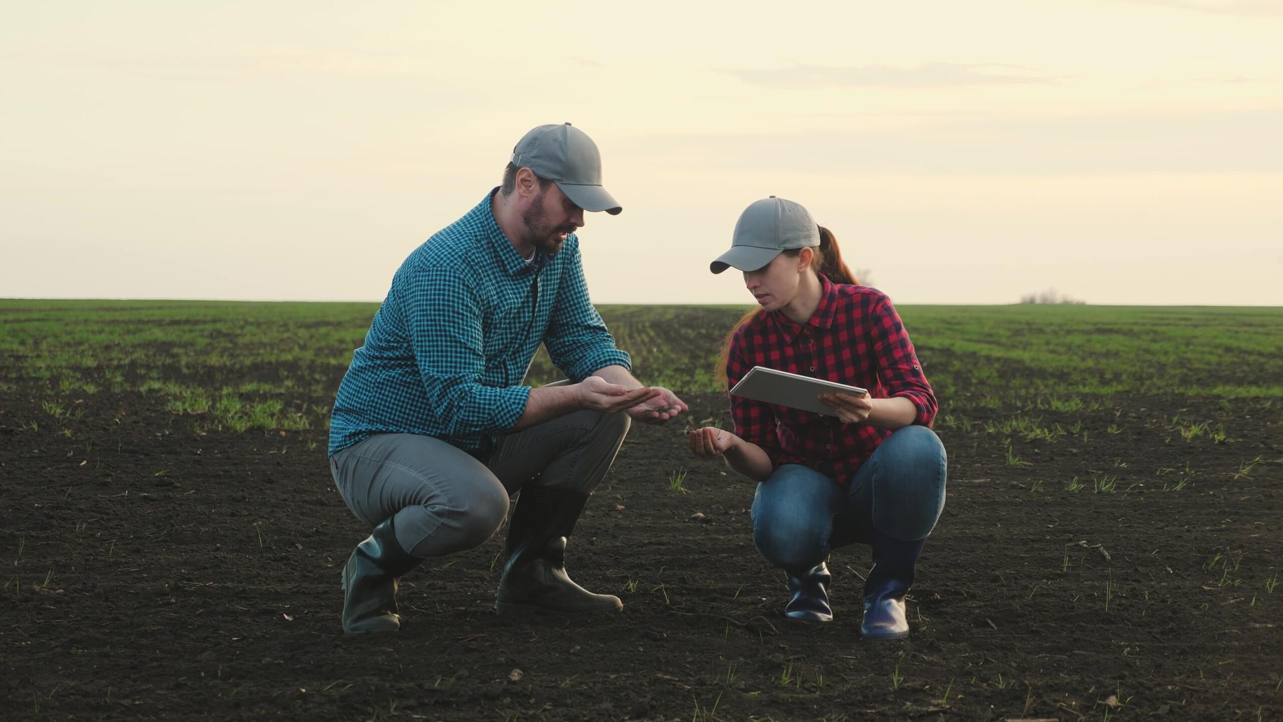 Agronomists looking at seeds in the field Summit Seeds