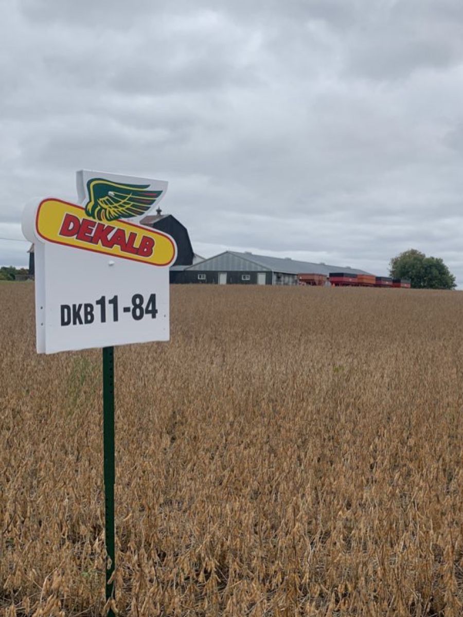 Summit Seed crop Dekalb