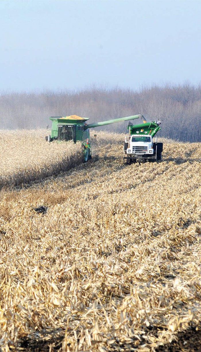 Harvex truck and loader harvesting crops