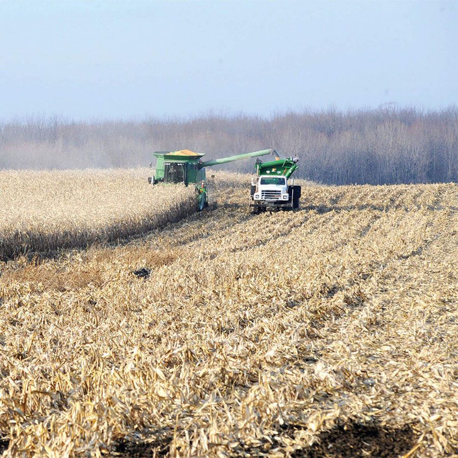 Harvex truck and loader harvesting crops