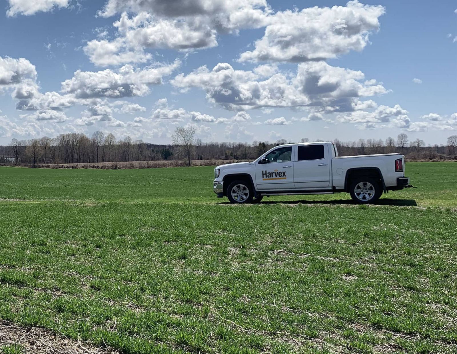 Harvex Truck on crop field with blue sky