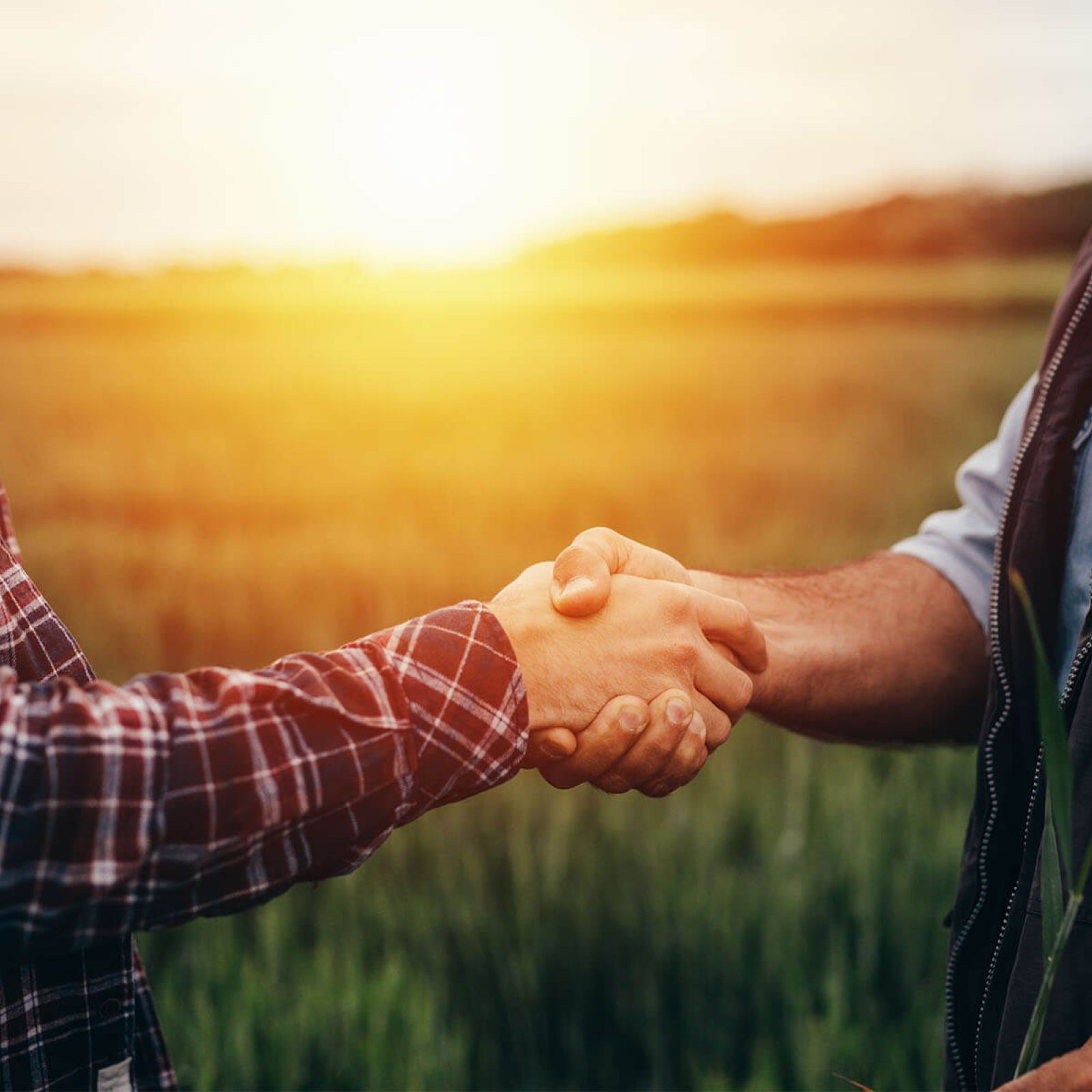 Harvex farm supply farmers shaking hands