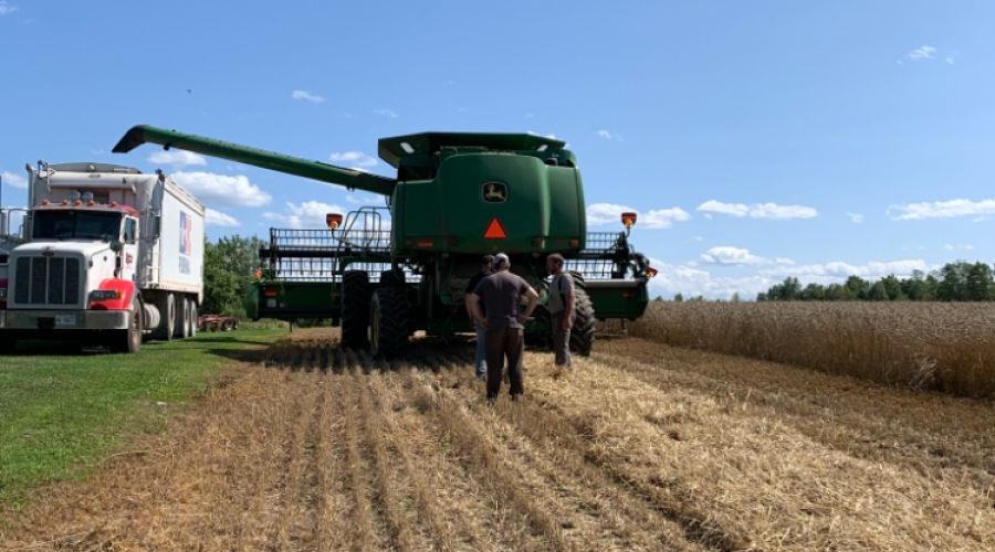 Harvex grain trucking