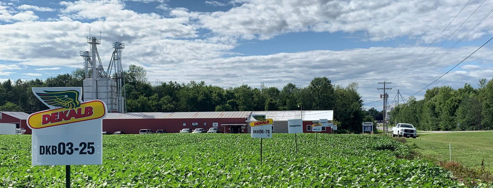 Harvex Agromart crop and location with Dekalb sign