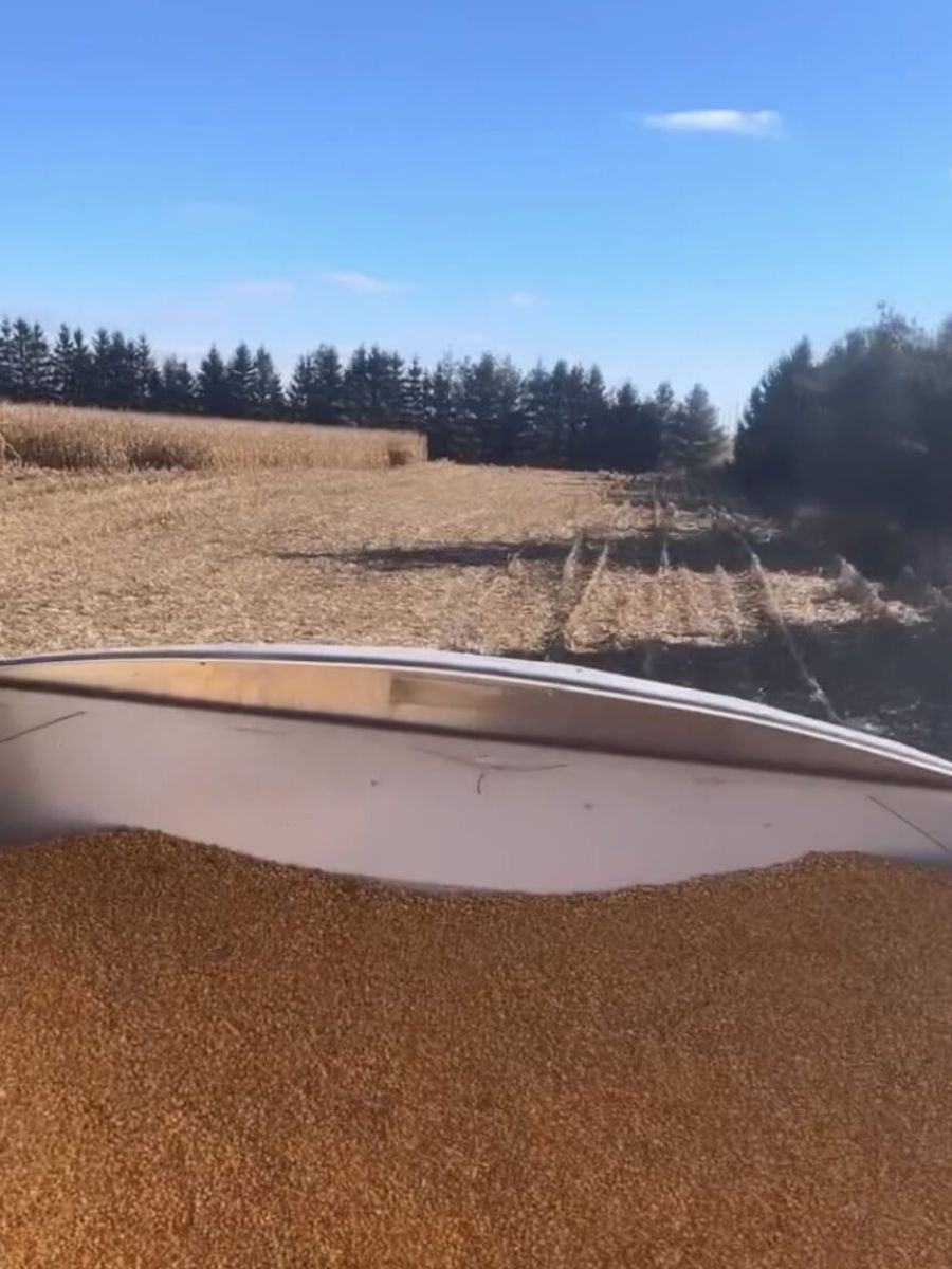 Summit Seeds grain outside