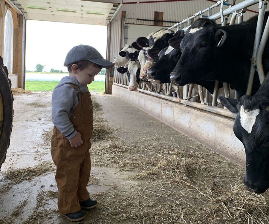 Harvex custom feed products