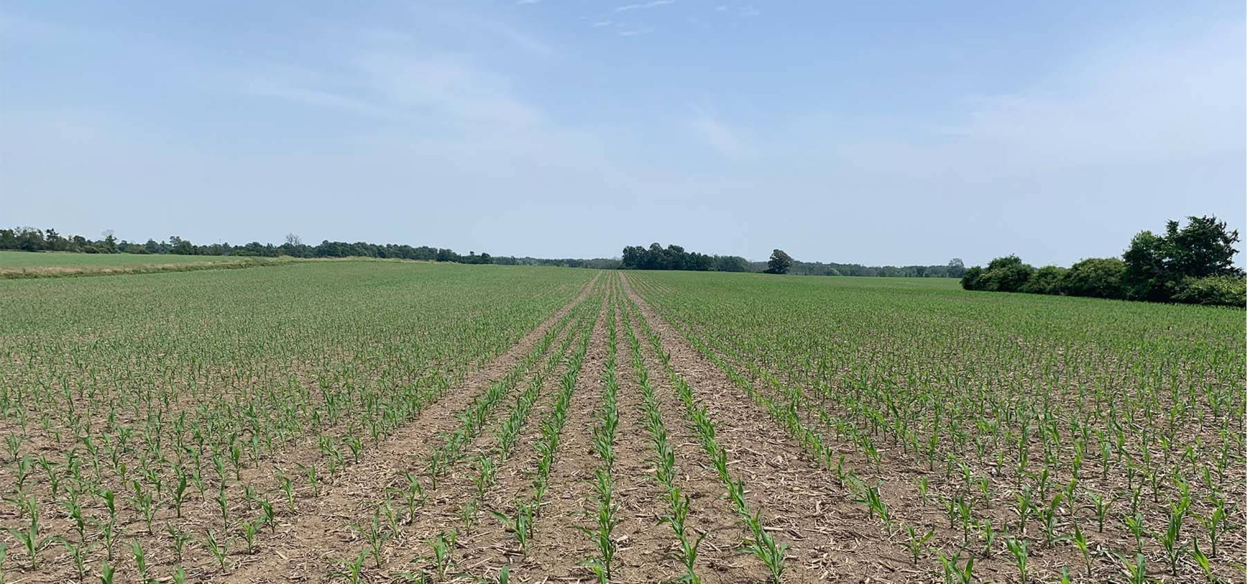 Harvex Agromart agricultural crop