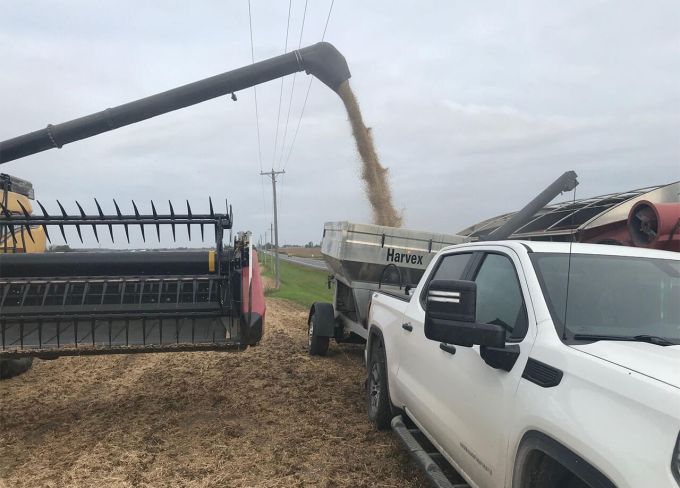 Harvex Agromart grain trucking