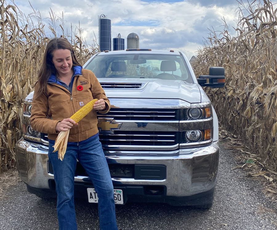 Harvex CCA support agronomist at the field