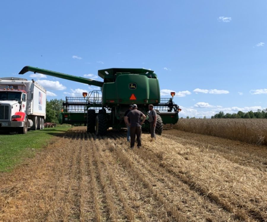 Harvex grain trucking