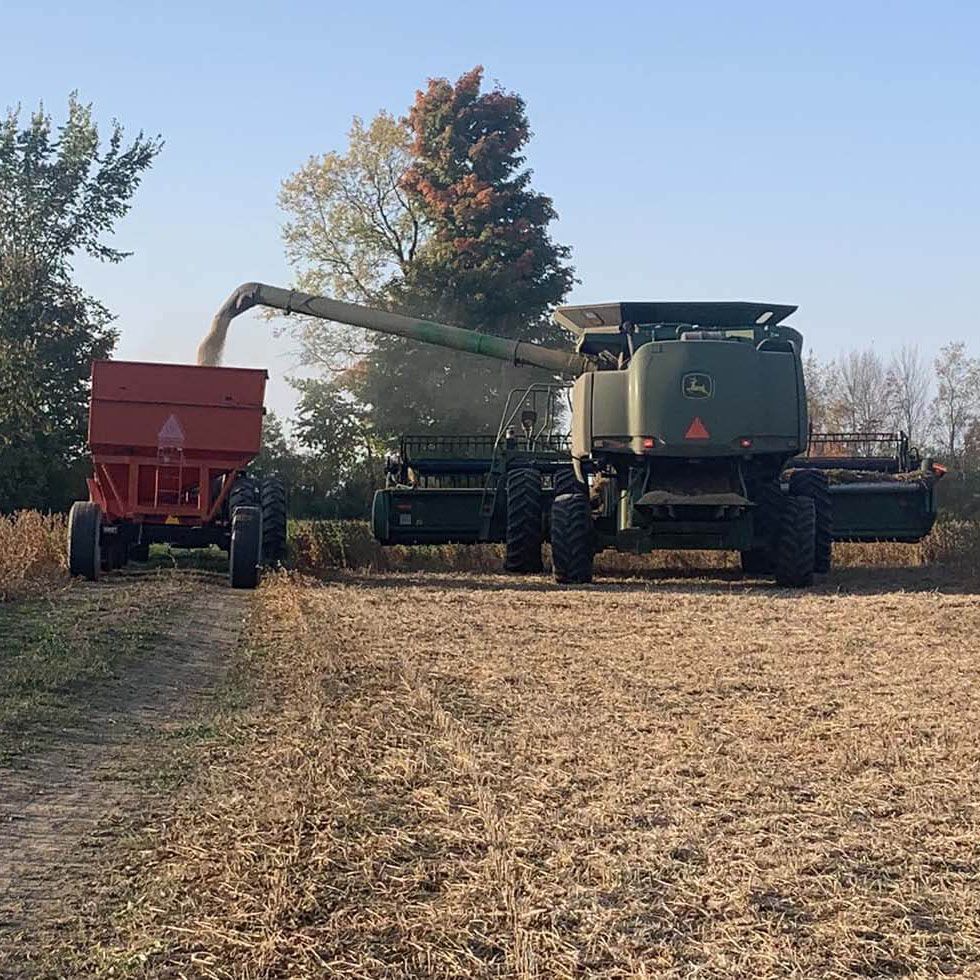 Harvex harvesting equipment at wheat field