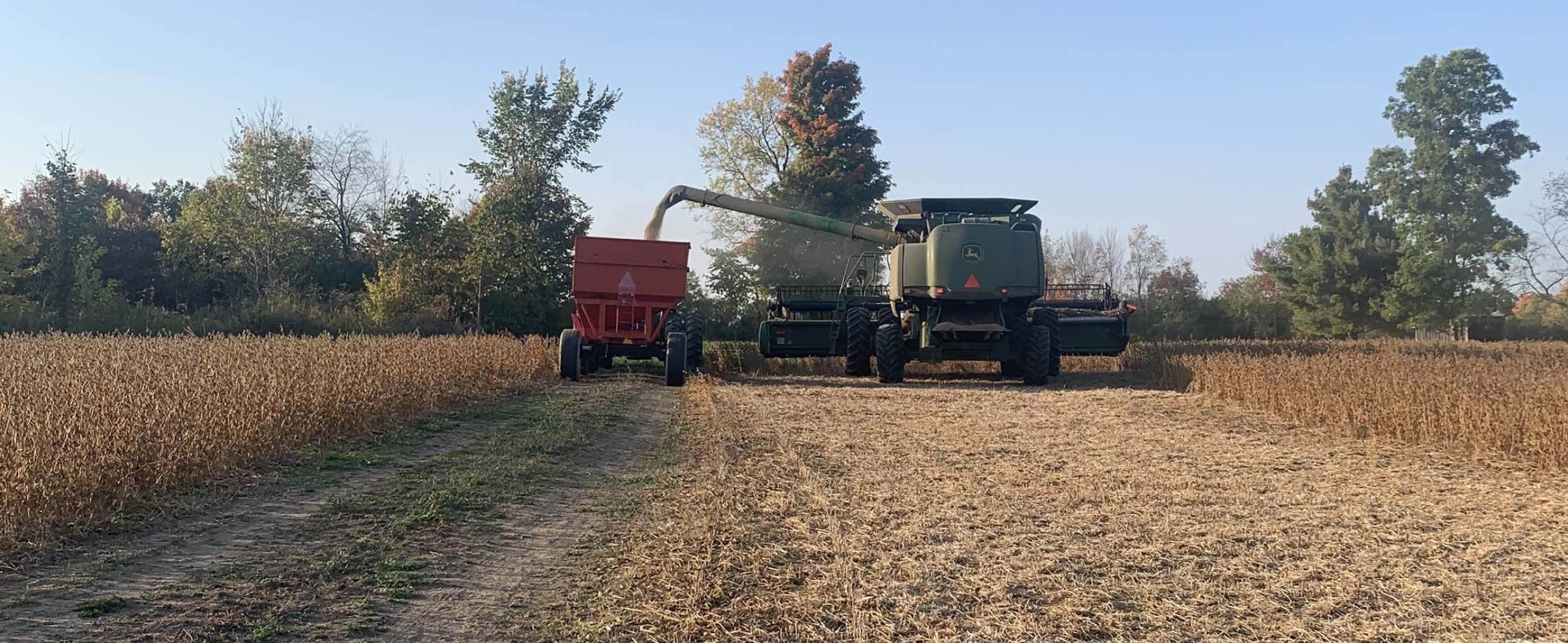 Harvex harvesting equipment at wheat field