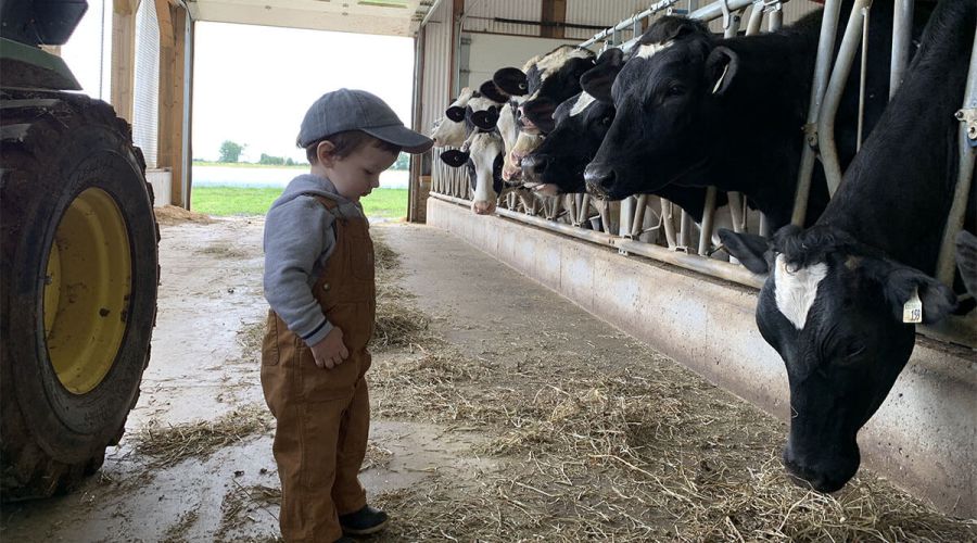 Harvex custom feed products